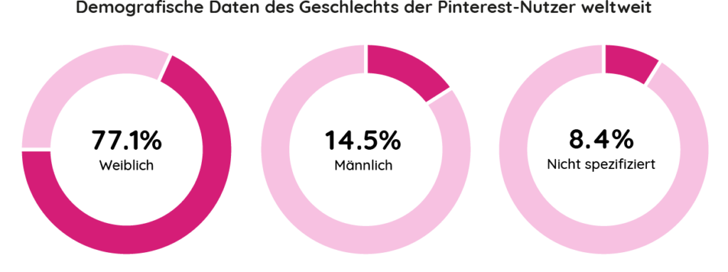 Pinterest Demografik